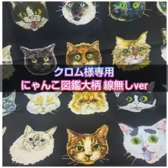 クロム様専用 にゃんこ図鑑大柄