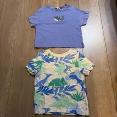 サマンサモスモス　GAP キッズ 半袖Tシャツ 2枚セット サメ 恐竜のサムネイル