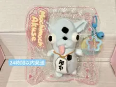MochiMochiakuse もちアク もちもちアクセ まとめ売り もちもちアクセ 冒険者 mochimochiakuse スクイーズ 海賊｜Yahoo