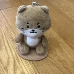 MINITEEN ディノ チャンダリ SEVENTEEN セブチ ぬいぐるみ - メルカリ