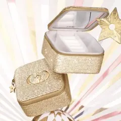 DIOR ディオール ホリデー限定 ゴールド ジュエリー ケース　新品