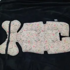 Item thumbnail for item 6fbc7ac5-8cca-46c5-abcd-cd8b2259bc04