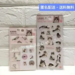 プチレターセット【もちまる日記】ステッカー シール 封筒 便箋 猫のサムネイル