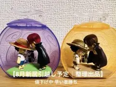 ワンピの実25周年メモリアルFrom TV animation ONEPIECE