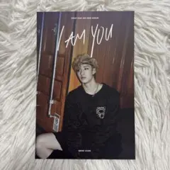 stray kids i am you ユニットトレカ　セミコンプ34枚セット stray kids i am you ユニットトレカ セミコンプ34枚セット