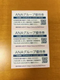 【匿名配送】　ANA グループ優待 ３枚　ホテル・ANA FESTA　割引券