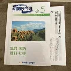 早稲田アカデミー 小5 夏期集中特訓 NNジュニア テキスト - メルカリ