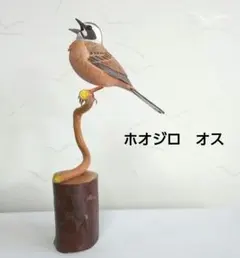 Item thumbnail for item f587d0e4-e8e7-45fd-9bcb-edce9e4d66ca