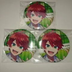 カラフルピーチ　じゃぱぱ缶バッジ　からぴちパラダイス2025缶バッジ3個セット