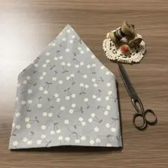 Item thumbnail for item 9f08cf63-aa00-4a64-bd0a-222c5d88271d