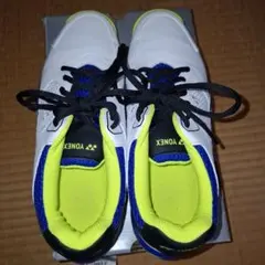 Item thumbnail for item 1d169b9e-9b23-4160-9aee-1213e406fb43