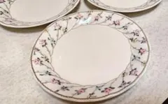 HOYA CHINA CORP Elliot ホヤケーキ皿　3枚