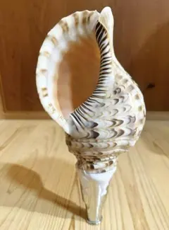 Item thumbnail for item ce0a4eea-c8b3-4cba-b6a2-fa4a441c51ea