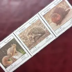 Item thumbnail for item b027ab6c-74d8-411b-ab12-dddd978193ce