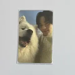 Last Bell TWS シニュ　トレカ　weverse特典 　サモエド