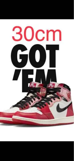 希少サイズ　AIR JORDAN 1 ネクストチャプタースパイダーマン　30cm