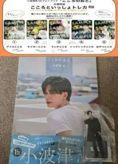 Item thumbnail for item 60419945-bf26-4c03-b346-5bfc89172d79