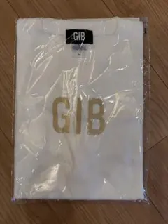 GEEK IN BOX ノベルティTシャツ GIB