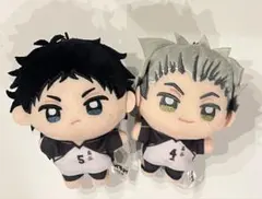ハイキュー ぬいぷりけmini 2種セット