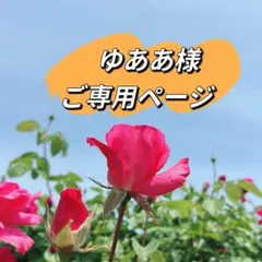 ゆああ様 リクエスト 12点　まとめ商品　パールピアス　パールペンダントトップ