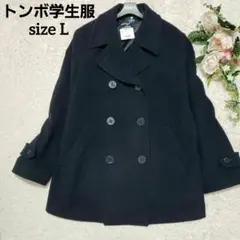 Item thumbnail for item f16d4f9e-7218-4796-806e-14d5f5e47484