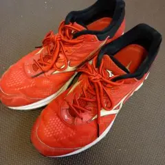 ミズノ WAVE RIDER 21 ウエーブライダー21 27cm