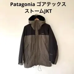 2025年最新】パタゴニア+ストームジャケット+ゴアテックスの人気