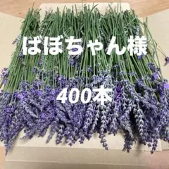 2026年最新】ラベンダーグロッソの人気アイテム - メルカリ
