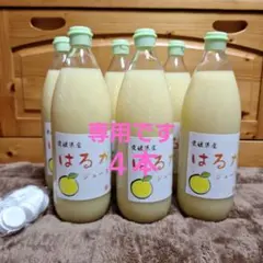 専用です。はるかジュース 1000ml×４本
