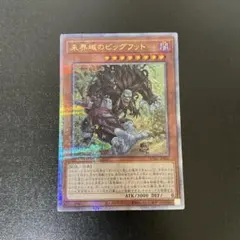 遊戯王 QCSE 未界域のビッグフット ＝No.222