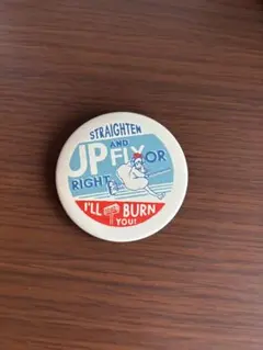 ジブリ 缶バッジ