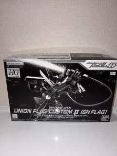 HG 1/144 ファントムガンダム & GNフラッグ プレバン品2点セット HG 1/144 ファントムガンダム & GNフラッグ プレバン品2点セット