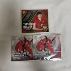 大塚達宣選手　バレーボール男子日本代表　トレーディングmini色紙 バレーボール男子日本代表 大塚達宣 トレーディングミニ色紙 2種セット