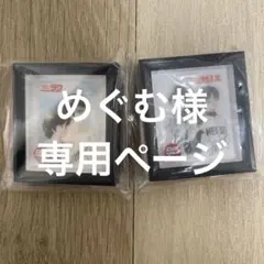 めぐむ様専用ページ