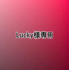 Lucky様専用　2点リクエスト商品