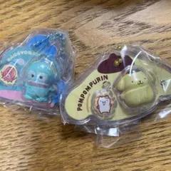 パッケージチャーム　サンリオ