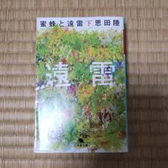 Item thumbnail for item 332cfe29-2c76-499d-971b-83cb05f155e5