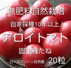 アロイトマト　種20粒♪　無肥料自然栽培　自然農　固定種　自家採種