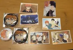 ハイキュー 日向翔陽 Ani-Art 缶バッジ ビスケット