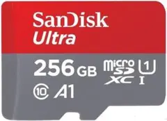 11.サンディスクUltra microSDカード256GB .46