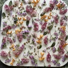 No,958 特小小花ミックス　ドライフラワー花材