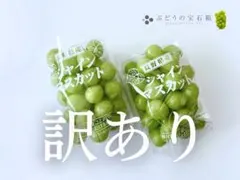④訳ありシャインマスカット粒1kg（ハウス栽培）のサムネイル