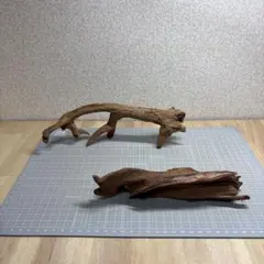 水槽用流木 2本セット　S188