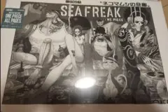 ONE PIECE ALL PAGES 第809話 ネコマムシの旦那 扉絵 - メルカリ