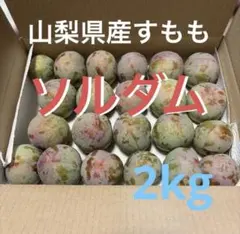 山梨県産 すもも ソルダム 2kg 訳ありのサムネイル