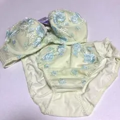 Wacoal パルファージュマシュマロブラ &ショーツセット　D70 /Mサイズ
