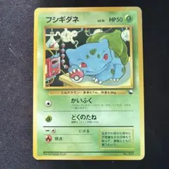 極美品 フジギダネ クイックスターターギフト 旧裏面 メルカリ