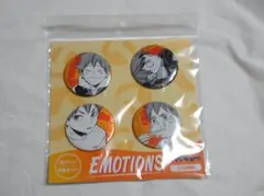 ハイキュー!! 缶バッジ4個セット EMOTIONS 日向翔陽