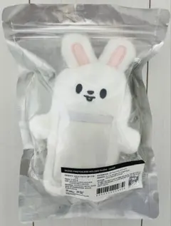 Strayk Kids リービット トレカケース