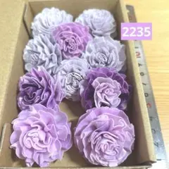 ソラフラワー　2235